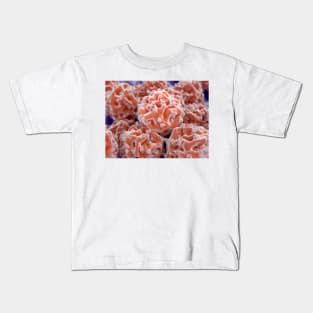 Stem cells, illustration (F013/1490) Kids T-Shirt